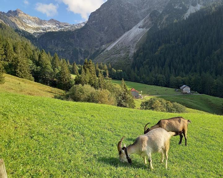 Berggasthof Gaisalpe